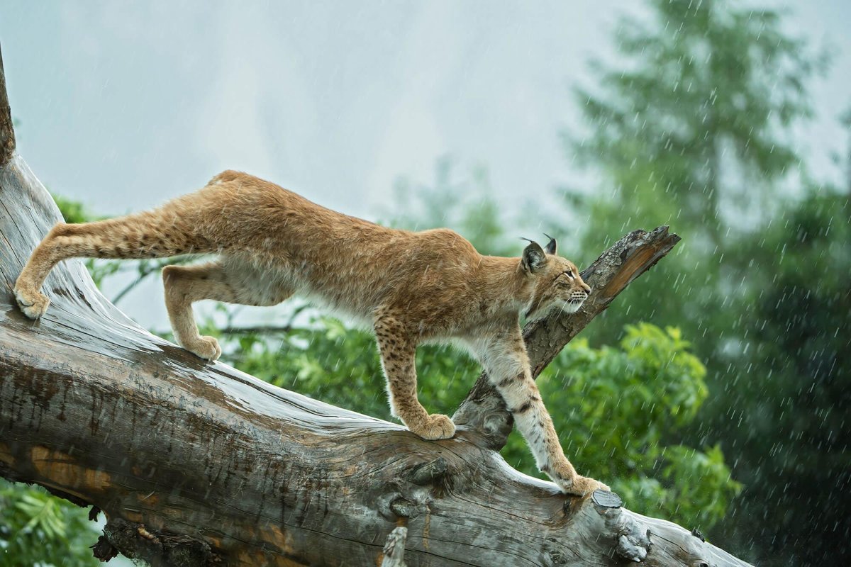 Osttirol Aktiv