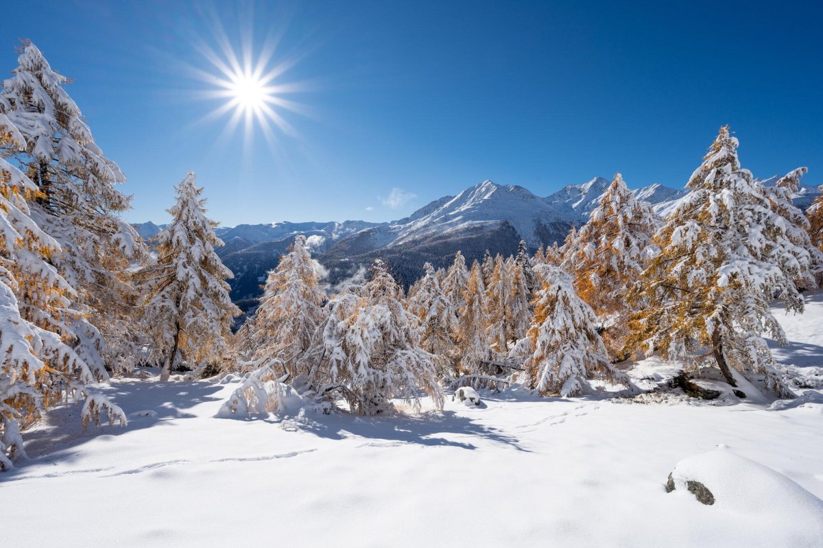 Slow travel im Nationalpark Hohe Tauern-Winter
