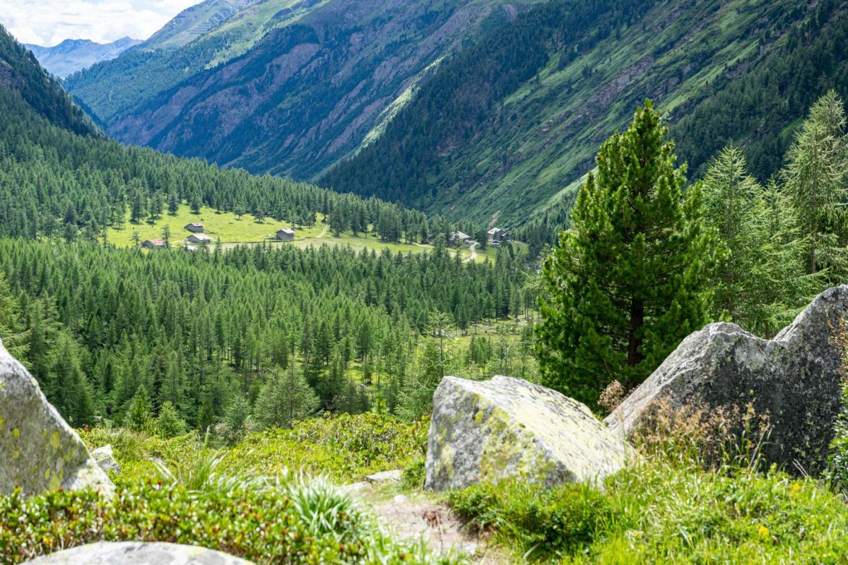 Exklusivtour - Kalser Tauern