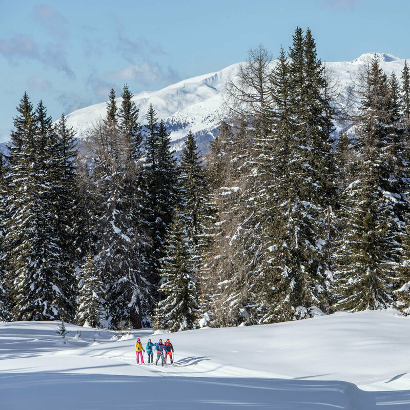 Eine Gruppe beim Winterwandern durch einen verschneiten Wald in Kartitsch