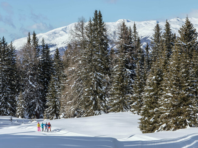 Winterwandern Kartitsch Eine Gruppe beim Winterwandern durch einen verschneiten Wald in Kartitsch