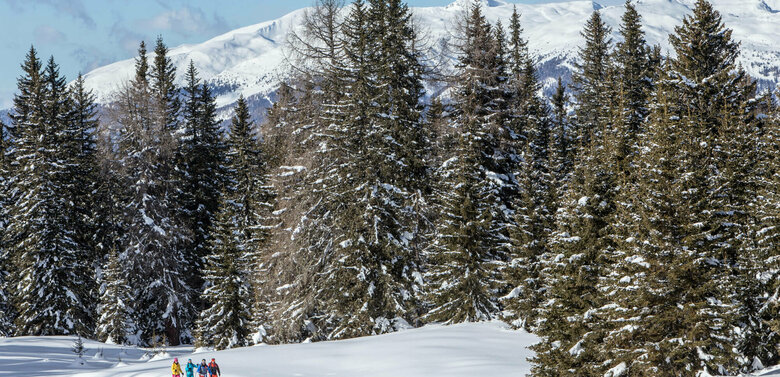Eine Gruppe beim Winterwandern durch einen verschneiten Wald in Kartitsch