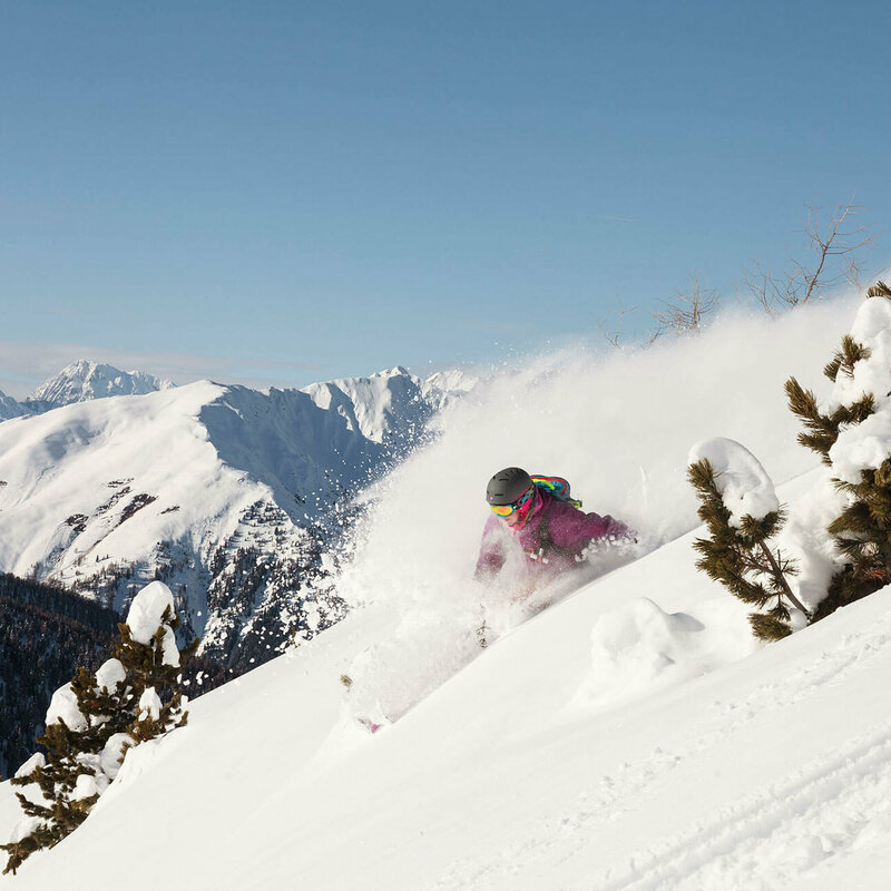 Der Pulverschnee staubt dem Freerider ins Gesicht, der zwischen zwei aus dem Tierschnee ragenden Zirben ins Tal fährt. Im Hintergrund verschneite Berge an einem sonnigen Wintertag.