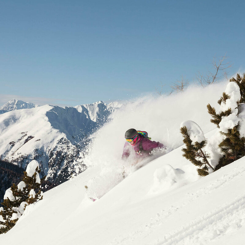 Der Pulverschnee staubt dem Freerider ins Gesicht, der zwischen zwei aus dem Tierschnee ragenden Zirben ins Tal fährt. Im Hintergrund verschneite Berge an einem sonnigen Wintertag.