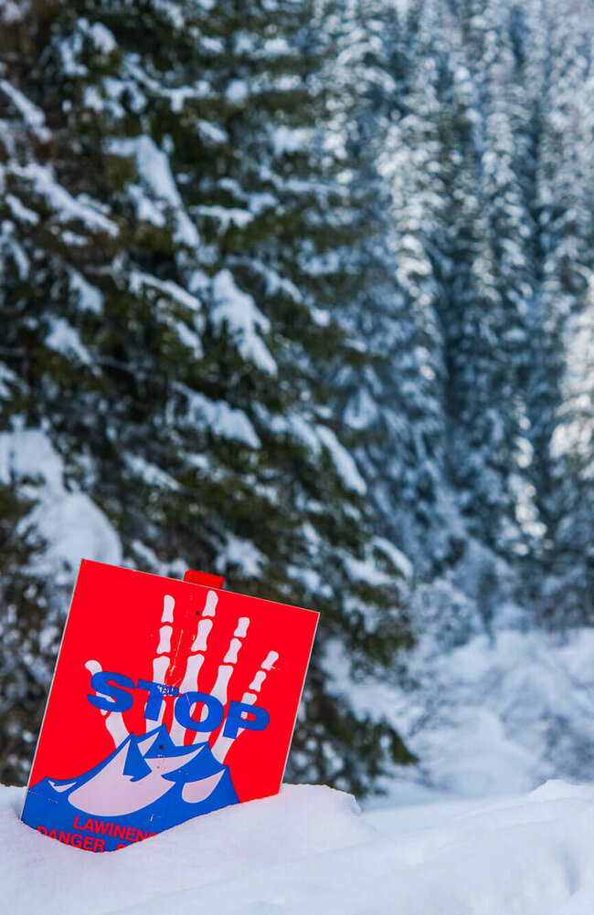 Eine rot, weiß, blaue Lawinengefahrtafel in einem frisch verschneitem Wald.