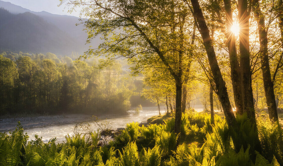 Die ersten Sonnenstrahlen blicken durch die Bäume am Weitwanderweg Iseltrail in Osttirol.