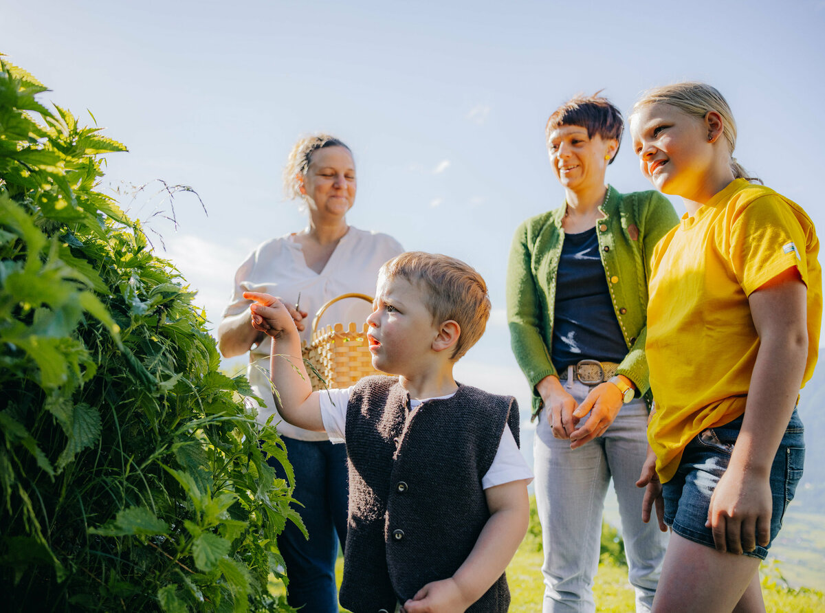 Brennnessel pflücken