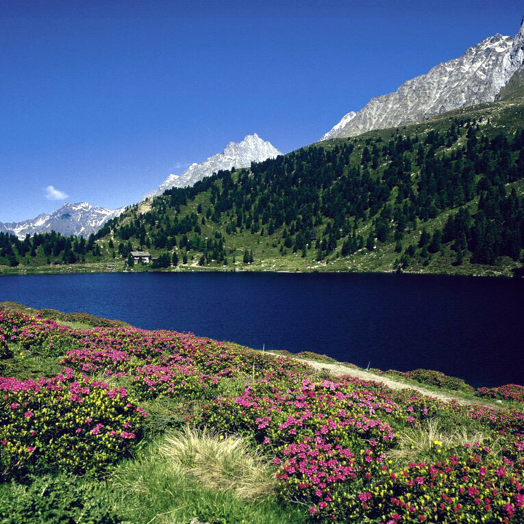 NP Hohe Tauern/Walter Mair