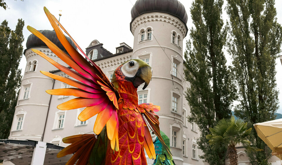 Ein riesiger, organgefarbener Papagei des Theatro Pavana stolziert bei Olala am Lienzer Hauptplatz umher.