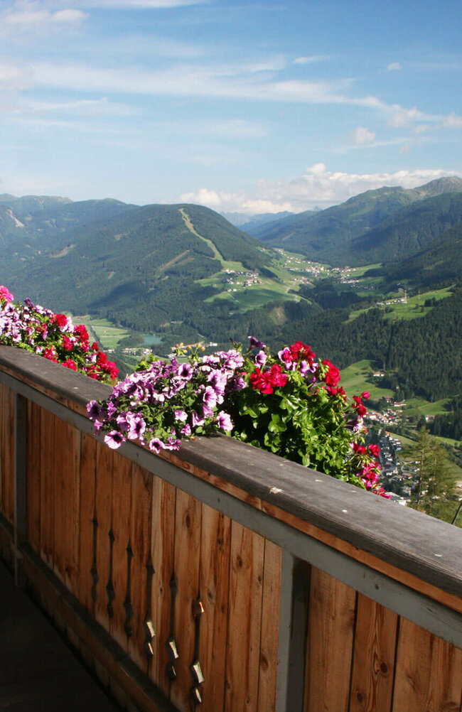 Ausblick vom Balkon mit bunten Blumen auf ein Tal mit Bergkulisse.