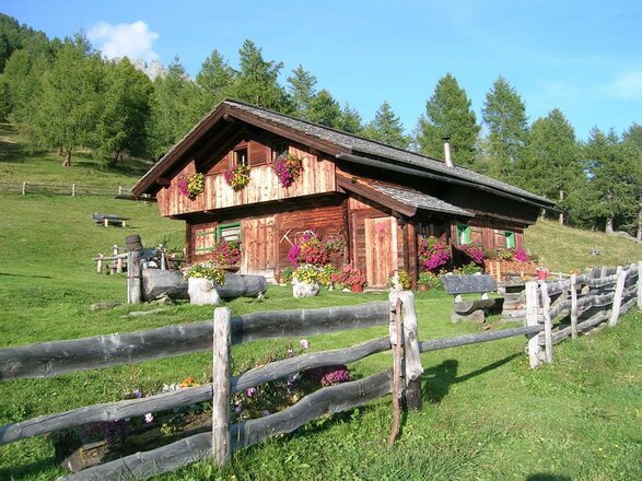 Das Bild zeigt die Gottschaunalm, eine Almhütte aus Holz mit blumengeschmückten Fenstern auf einer grünen Bergwiese. Ein Holzzaun verläuft vor der Hütte und rahmt den gepflegten Außenbereich mit zahlreichen Blumen und Dekorationen ein. Im Hintergrund sind Wiesen und einzelne Bäume zu sehen, die die ruhige Lage der Alm unterstreichen.