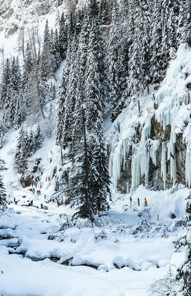 Drei Eiskletterer stehen vor der Eiswand und sehen auf ihr nach oben. Umrahmt wird der Eiskletterpark von tief verschneiten dunkelgrünen Tannenbäumen.