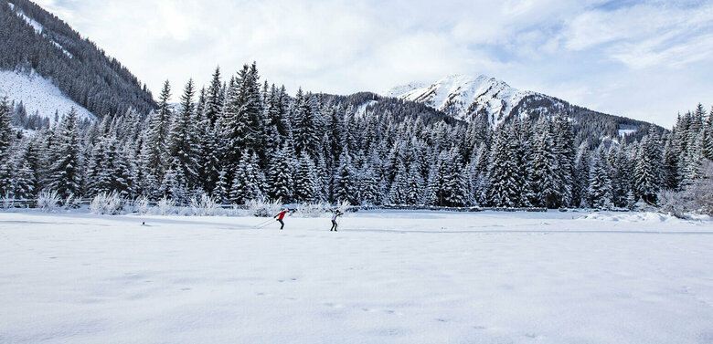 Zwei Langläufer:innen auf der Grenzlandloipe mit einem frisch verschneiten Wald im Hintergrund