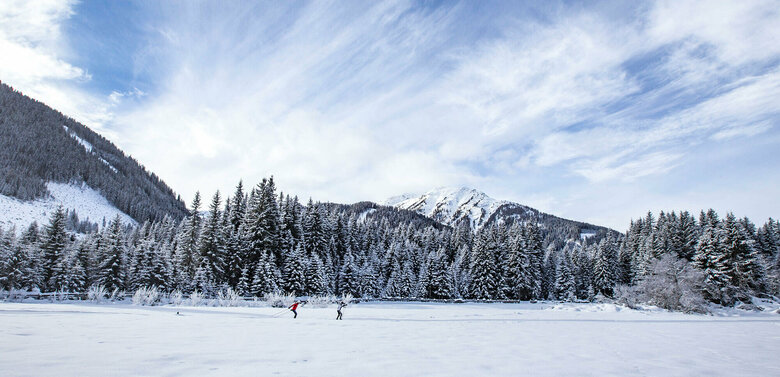 Zwei Langläufer:innen auf der Grenzlandloipe mit einem frisch verschneiten Wald im Hintergrund