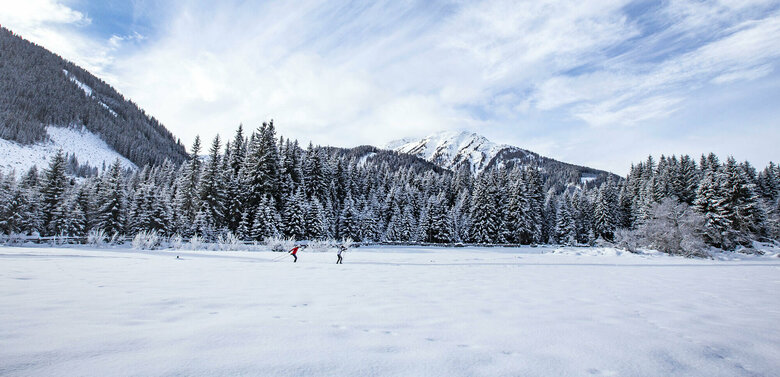 Zwei Langläufer:innen auf der Grenzlandloipe mit einem frisch verschneiten Wald im Hintergrund