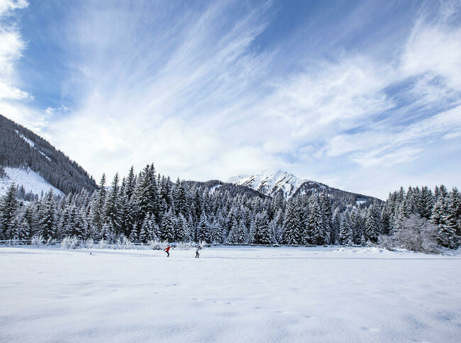 Zwei Langläufer:innen auf der Grenzlandloipe mit einem frisch verschneiten Wald im Hintergrund