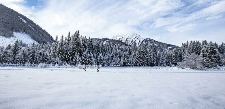 Zwei Langläufer:innen auf der Grenzlandloipe mit einem frisch verschneiten Wald im Hintergrund