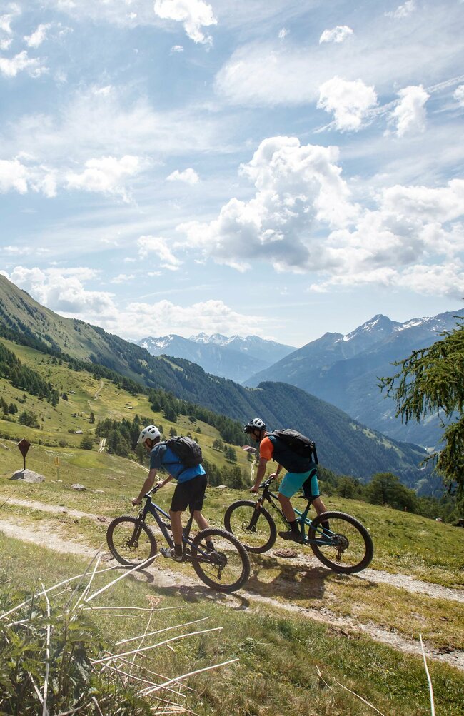 Zwei Mountainbiker kurz vor der Bodenalm im Timmeltal an einem Sommertag.