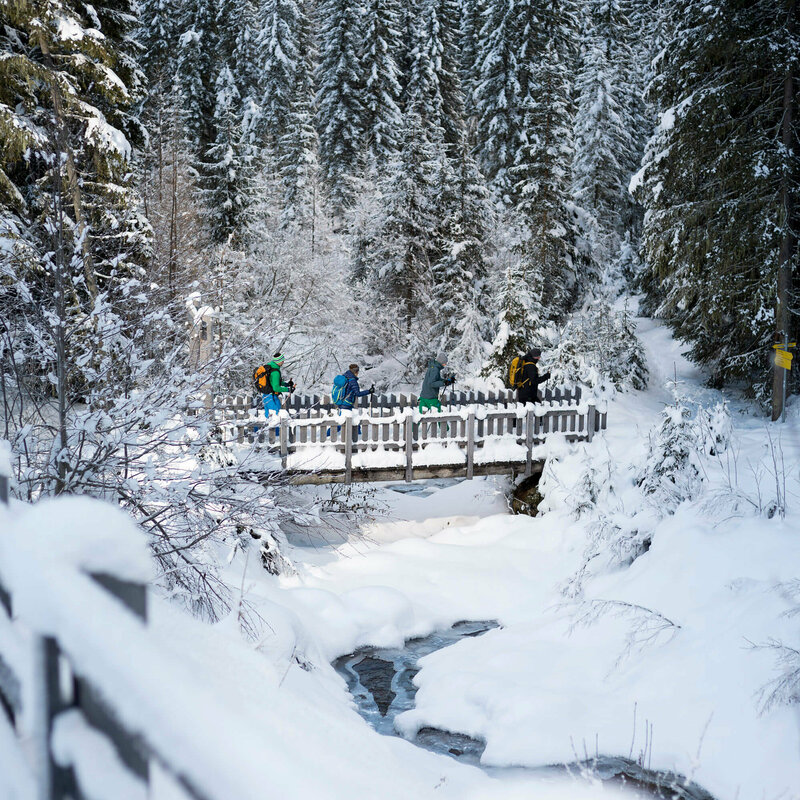 4 Personen auf Schneeschuhwanderung gehen über eine verschneite Brücke über einen Bach, inmitten von schneebedeckten Nadelbäumen.