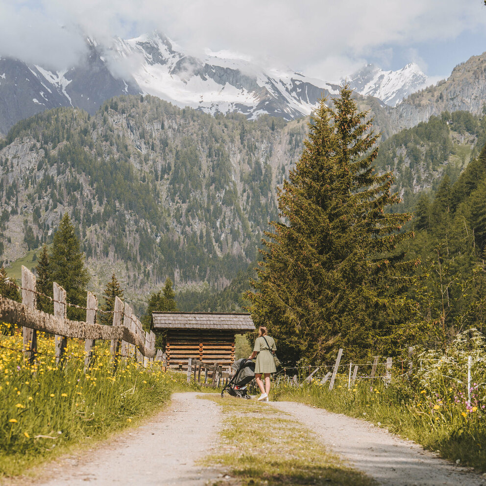 Wandern mit Kinderwagen Prägraten 