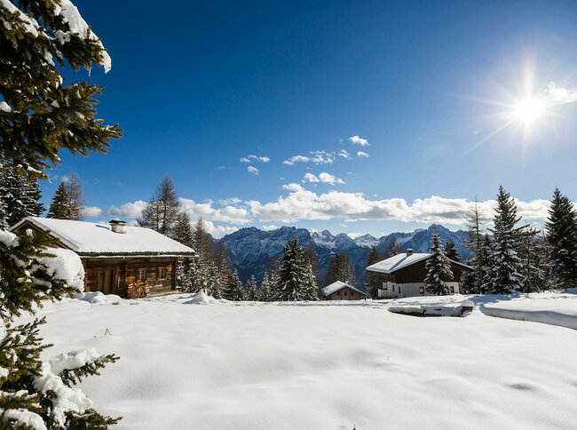 Hütte in einer schneebedeckten, flachen Ebene umgeben von frisch verschneiten Bäumen bei strahlendem Sonnenschein.