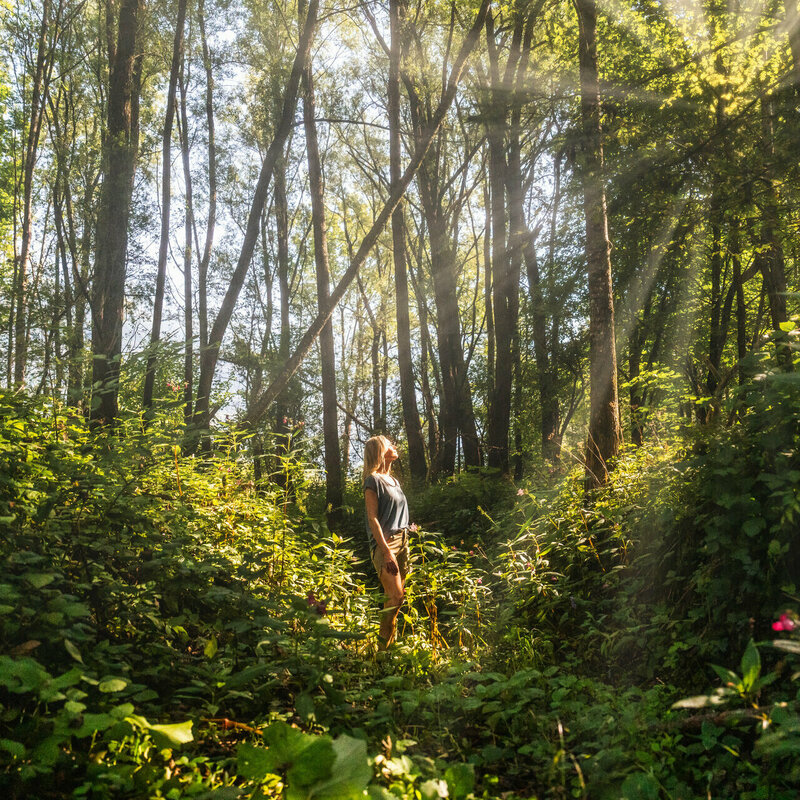 Eine Frau steht in einem Wald, während Sonnenstrahlen durch die Bäume fallen.