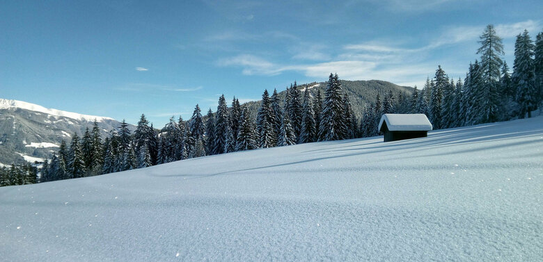 Neuschnee beim Winterwandern in Kartitsch