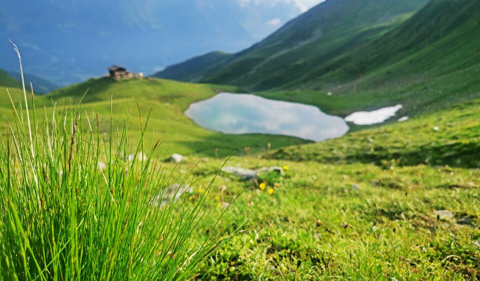 Blick auf den Zupalsee von einer Anhöhe auf der grünen Bergwiese, mit der Hütte dahinter.