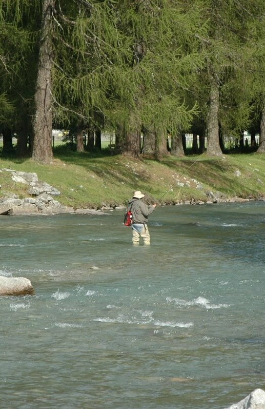 Der Talfluss im Defereggental die Schwarzach