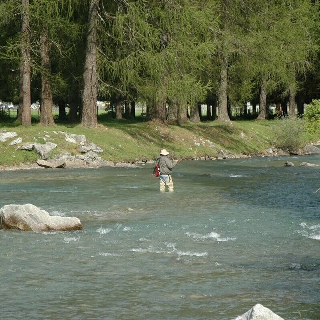 Der Talfluss im Defereggental die Schwarzach