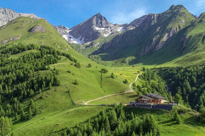 Die Nilljochhütte liegt auf einer sonnigen Almwiese inmitten einer weitläufigen Berglandschaft. Ein Wanderweg führt durch grüne Hänge hinauf zu den umliegenden Gipfeln. Im Vordergrund ist die Hütte zu sehen, im Hintergrund erheben sich markante Berge mit einzelnen Schneefeldern.