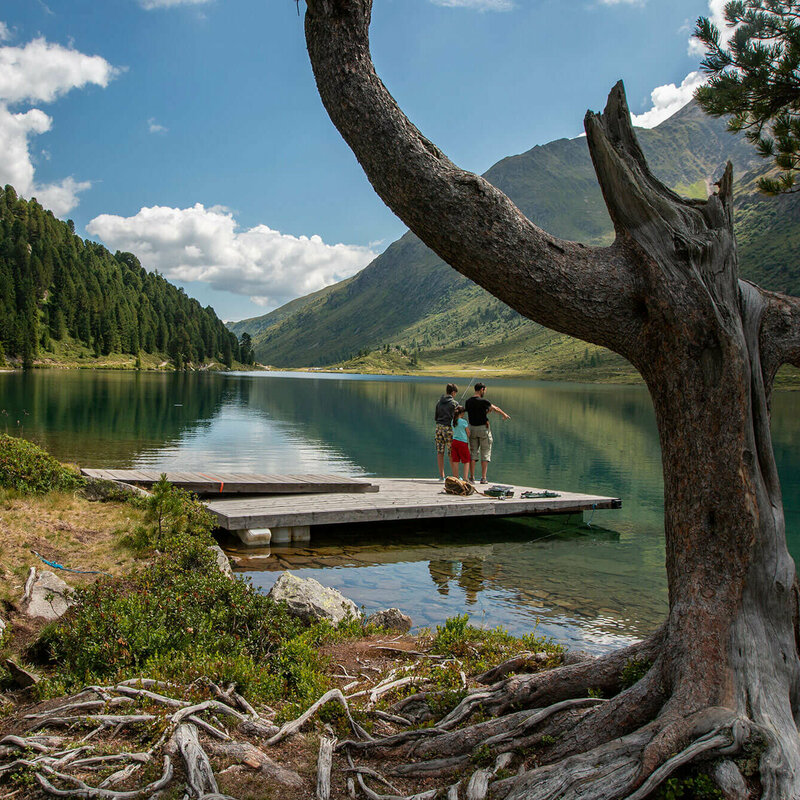 Der Blick auf den Obersee am Staller Sattel. Zwei Menschen stehen auf einem kleinen Steg und lassen ihren Blick über den schönen dunkelgrünen See schweifen. Im Vordergrund steht ein markant-geformter Baum, welcher in der umliegenden Bergwelt gut zur Geltung kommt.