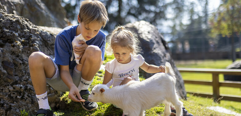 Ein Junge und ein Mädchen füttern eine weiße Ziege im Streichelzoo Moosalm.