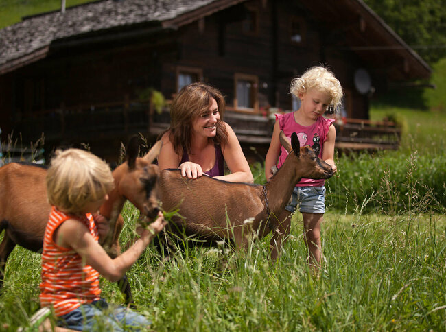 Eine Frau und zwei Kindern streicheln zwei Ziegen auf einer Wiese vor einem Bauernhof.