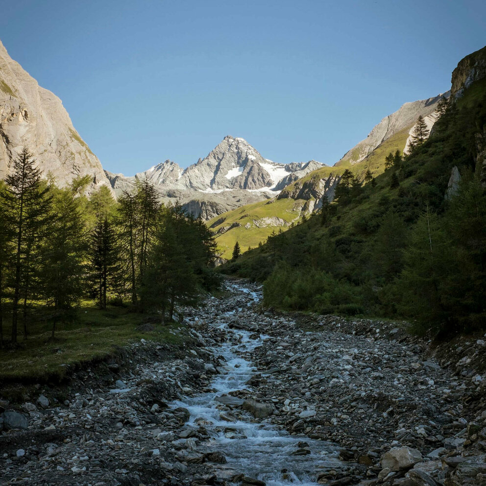 Blick auf einen kleinen Bach mit Grossglockner im Hintergrund an einem herrlichen Tag mit blauem Himmel.
