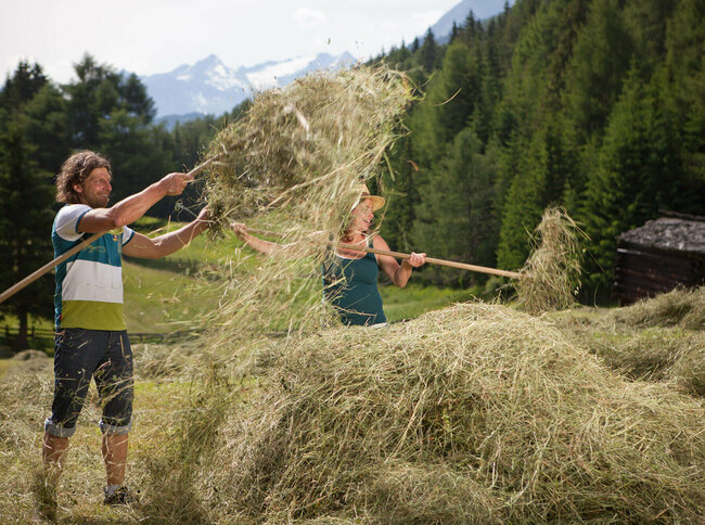 Ein Mann und eine Frau auf einer Wiese mit Heu und Heugabeln.