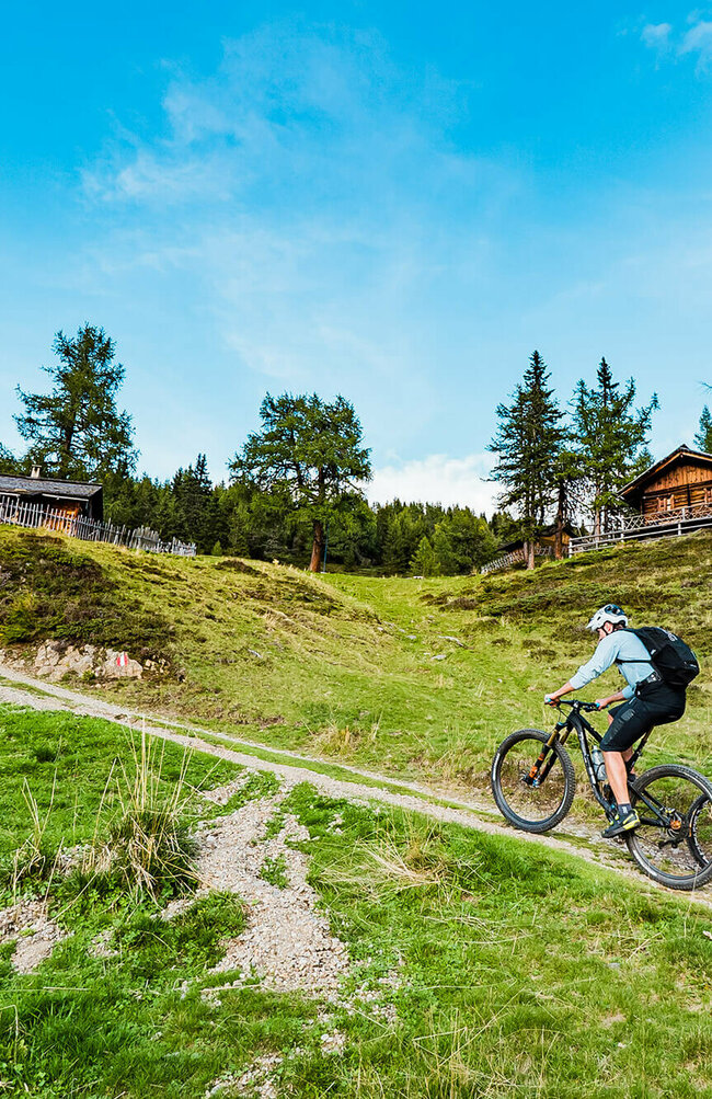 Zwei Biker sind unterwegs am Ederplan in Osttirol und fahren auf einem Weg bergauf.