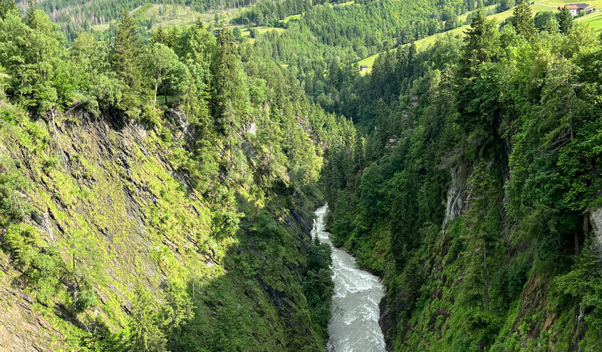 Der Gletscherfluss Isel bahnt sich seinen Weg durch die bewaldete Iselschlucht in Osttirol.