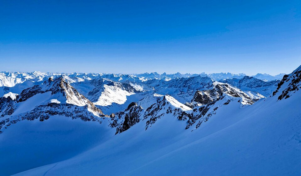 Il Gruppo del Venediger