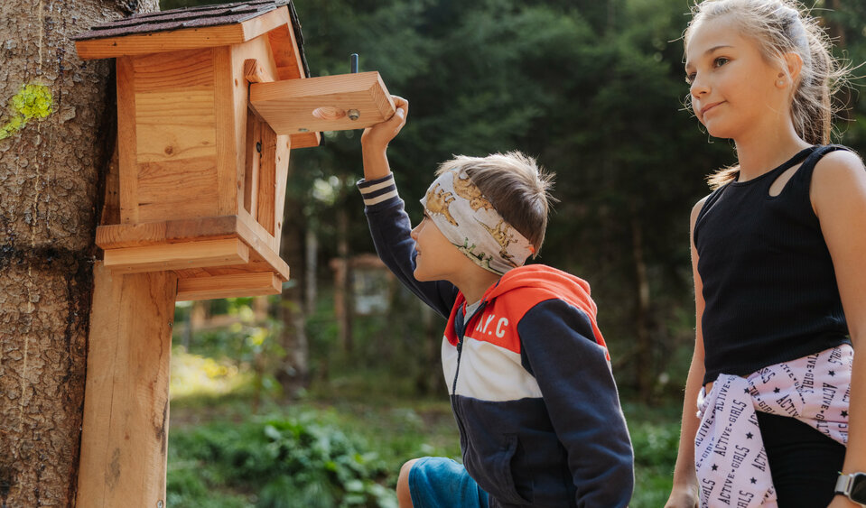 Zwei Kinder inspizieren das hölzerne Vogelhaus entlang des Waldwichtelweges genauer.