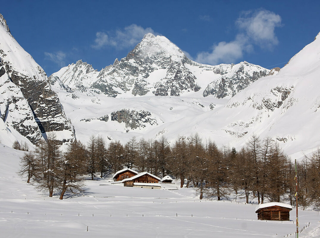 Großglockner mit Almen