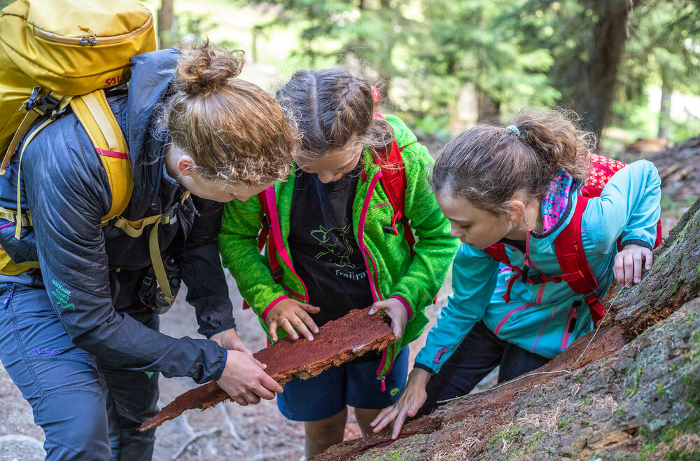 Eine Frau und zwei Mädchen betrachten ein Stück Rinde im Zedlacherparadies.
