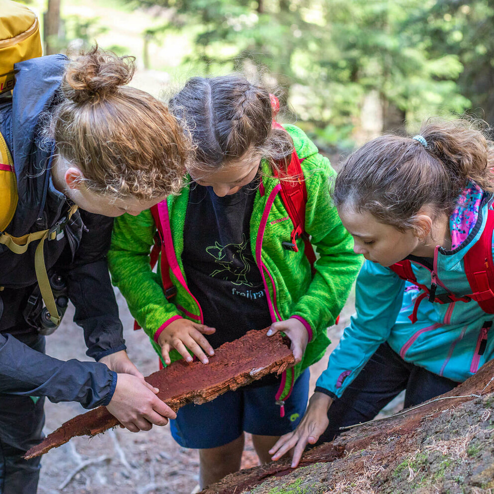 Eine Frau und zwei Mädchen betrachten ein Stück Rinde im Zedlacherparadies.