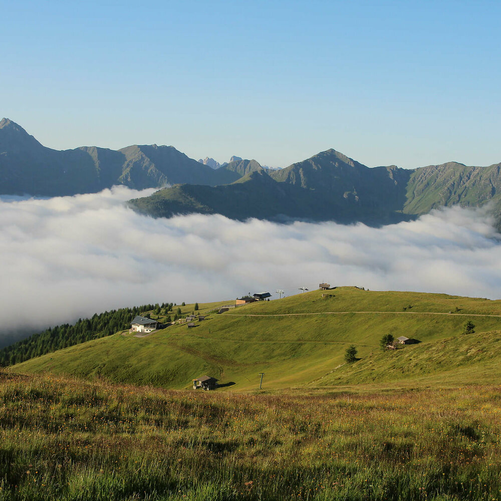 Blumenwiese mit Blick auf Wolkendecke unter der Bergbahn Golzentipp