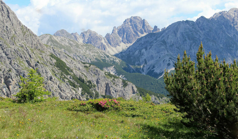 Alta Via Gailtaler Höhenweg al Kircher Alm