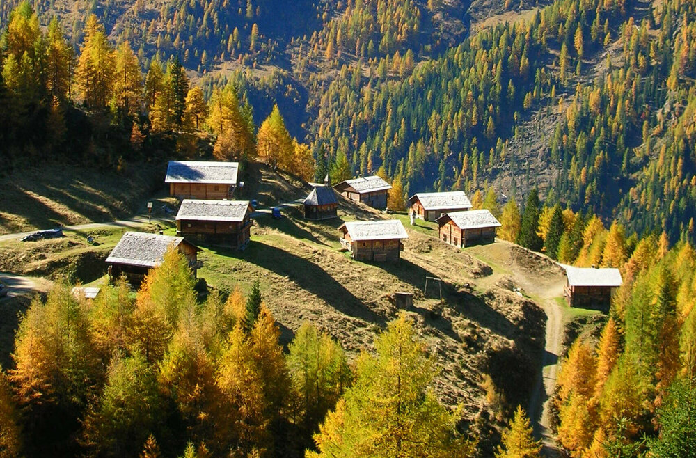 Die Kamelisenalm in herbstlicher Landschaft mit gelb/orange gefärbten Wäldern