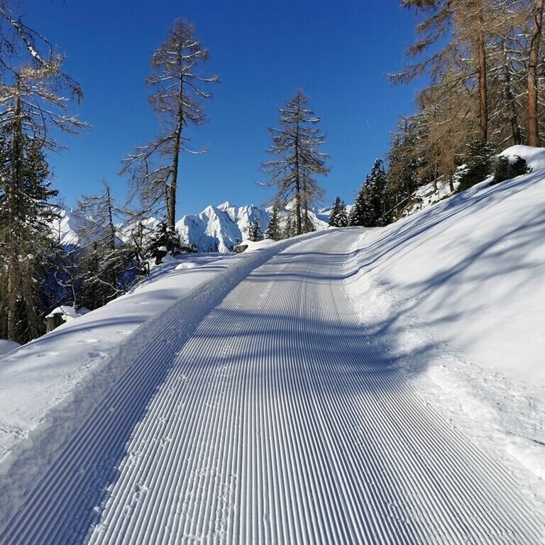 Ein frisch präparierter Winterwanderweg Richtung Bodenalm in Prägraten. Rechts und links stehen einige kahle Bäume und im Hintergrund ragen schneebedeckte Gipfel empor.