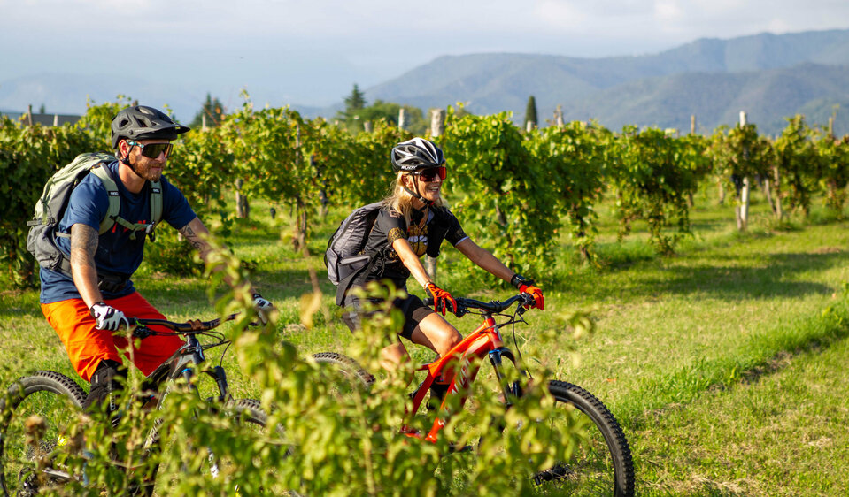 Unterwegs zwischen Weinbergen