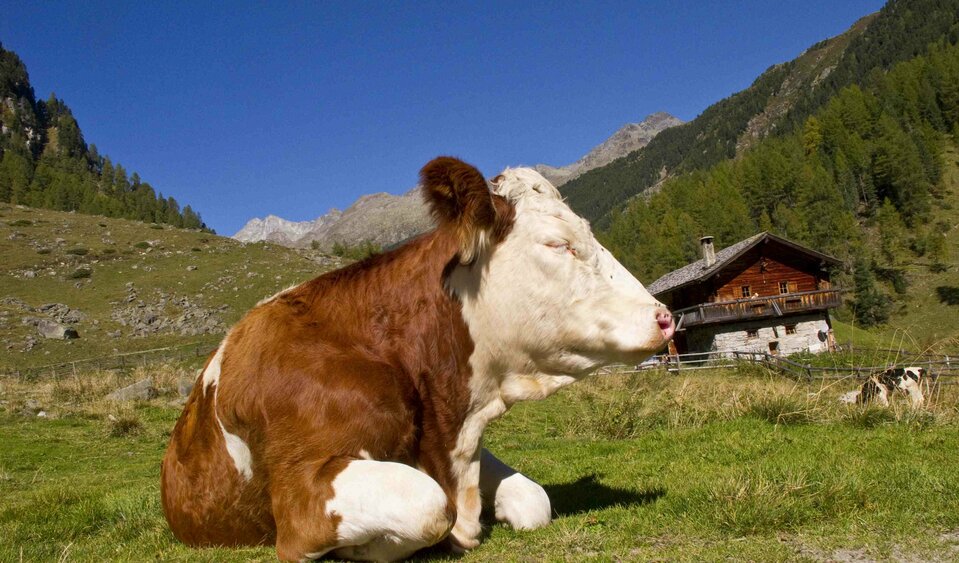 gemütliche Spaziergänge