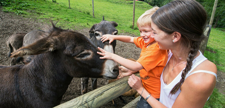 Eine Mutter mit Sohn streichelt die Esel im Wildpark Assling.